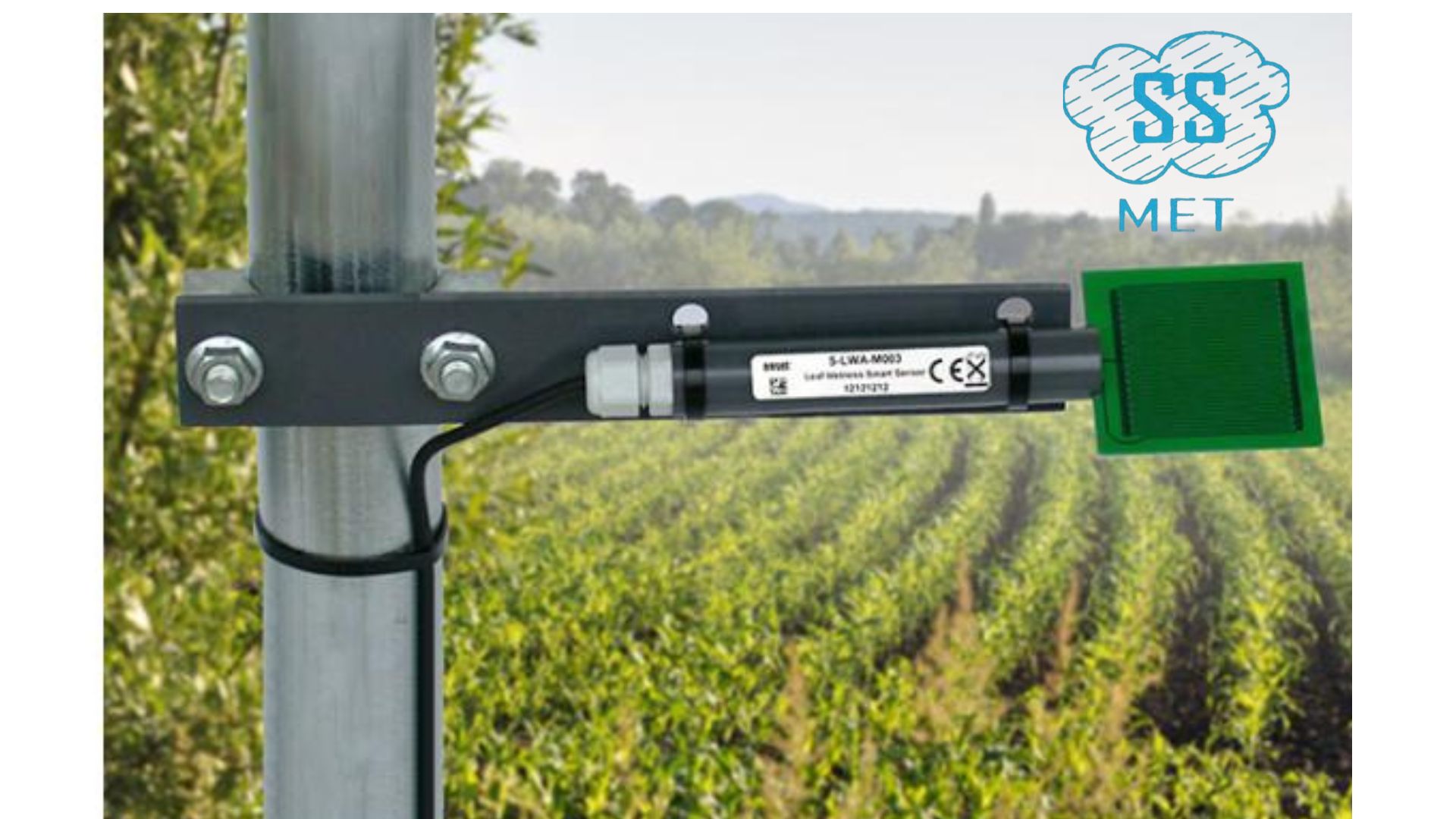 Leaf Wetness Sensor: Functions and Benefits in Meteorology
